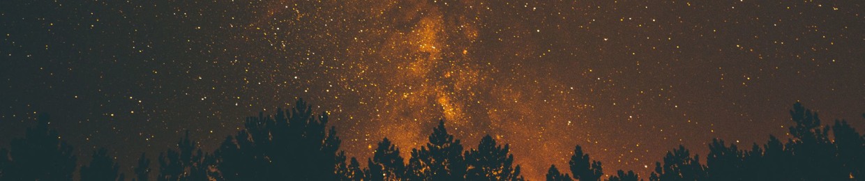 Spark Onee