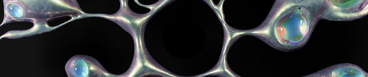 Neptune Discs