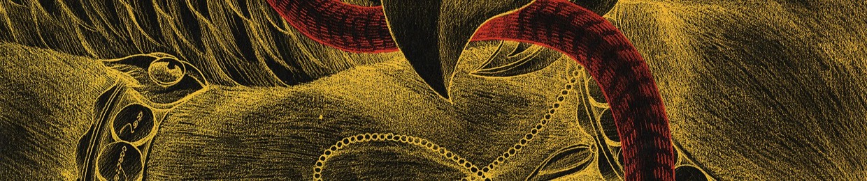 The Siamese Twins – Saladeater レコード トランス Stream Siamese