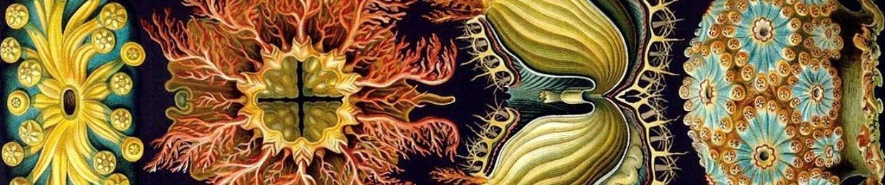 Mother + Mephistopheles {{Cørvus Sun Cørpse}}