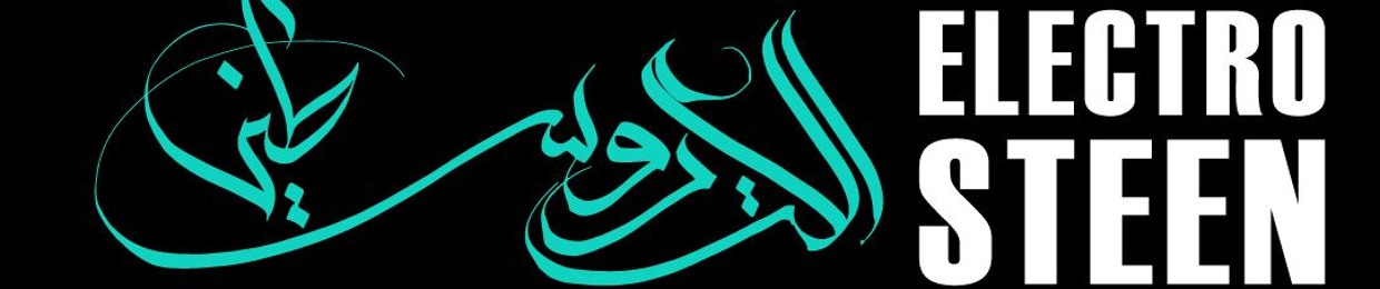 Electrosteen Project