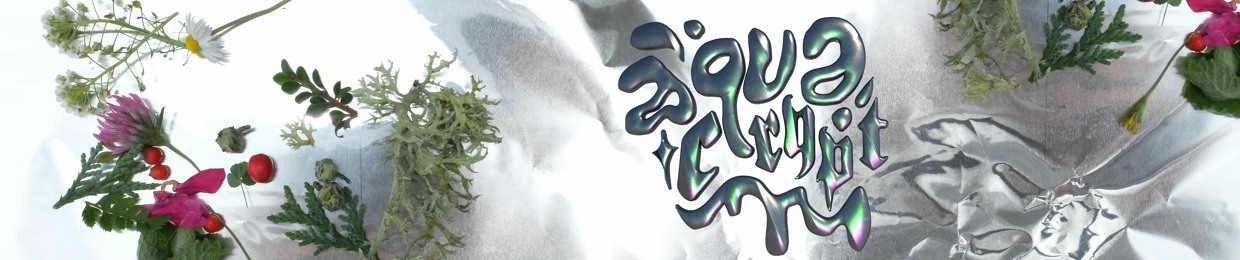 ✧ ǟզʊǟƈʀʏքȶ ✧