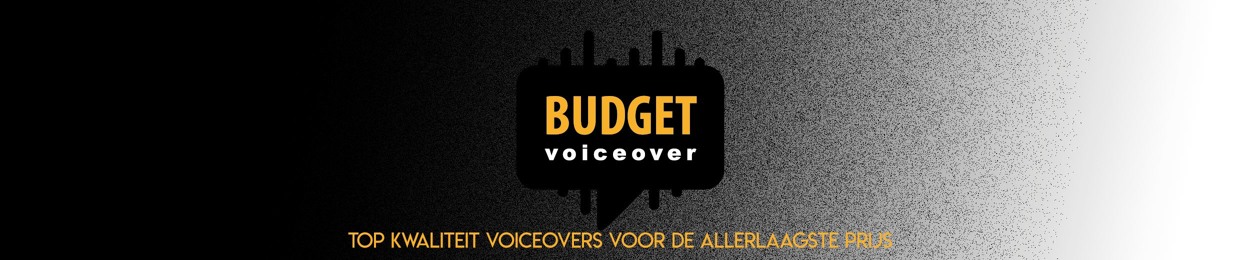 Budget Voiceover