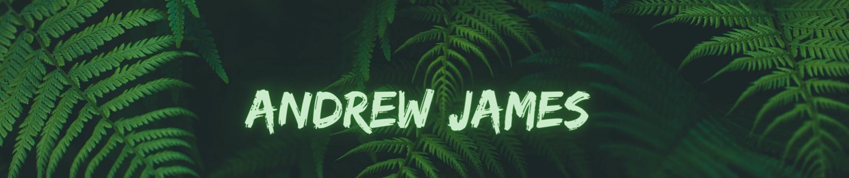 Andrew James