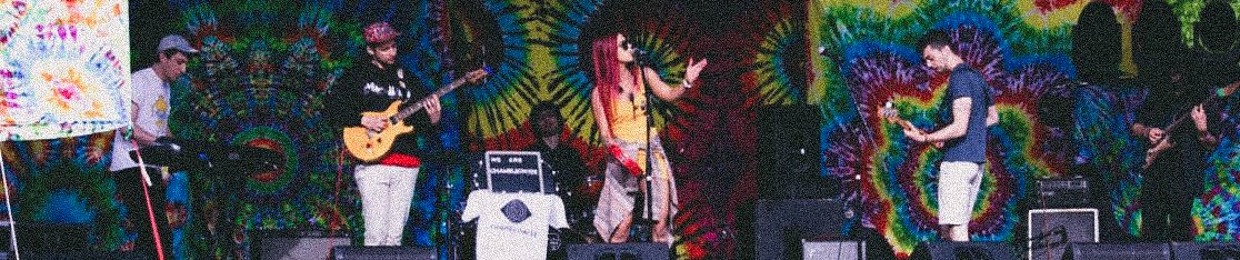 Chameleonize