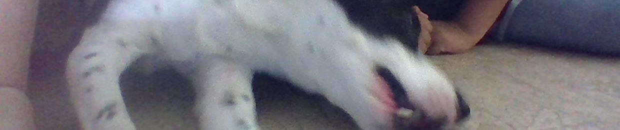 King Explosion Murder