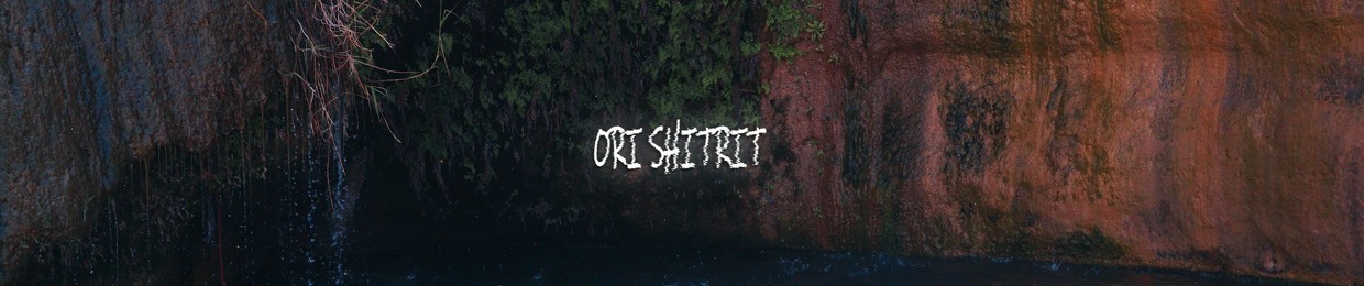 Ori Shitrit