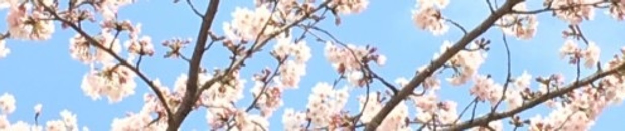 Ｋｙｒｏ 安益衣