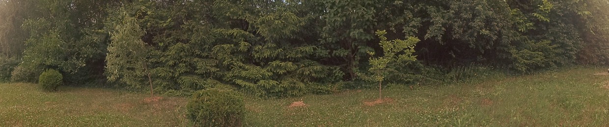 Ukasz