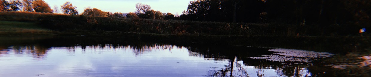 Travis Bigwood and The Lonesome Doves