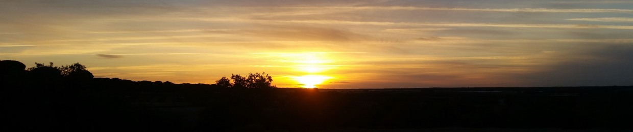 Orange Mouse (Ohrenschmaus)