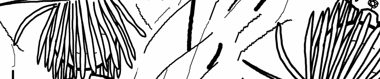 V1ntyy