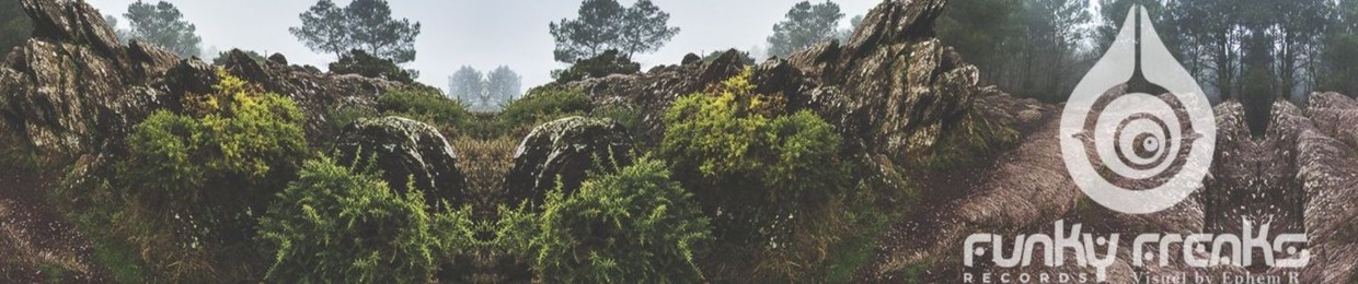 FOREST CRITTERS