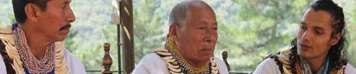 Taita Jhon Alexander Castaño