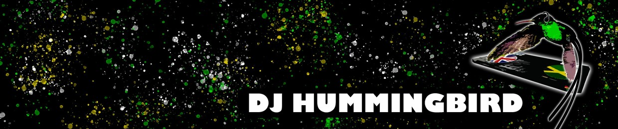 DJ Hummingbird™