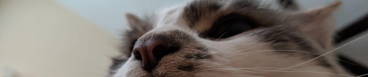 Gig Pray Love: A Learning Podcast