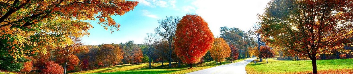 شهریار آریایی