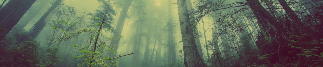 Hazy