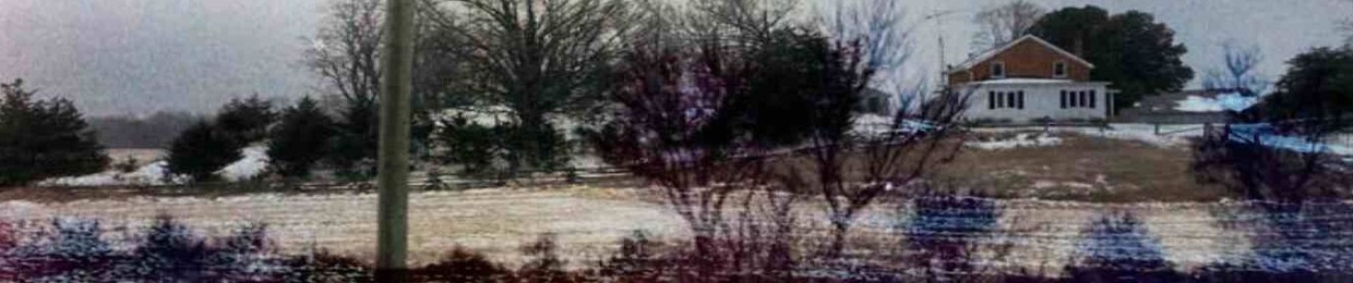 roadkill