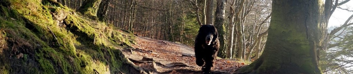 Microscopic Polar Bears