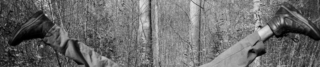 LES DISQUES DU VERTBOIS