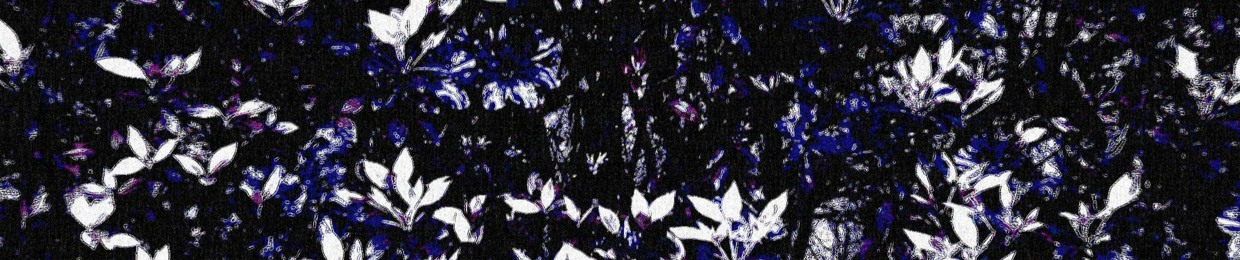 no.free.edicts