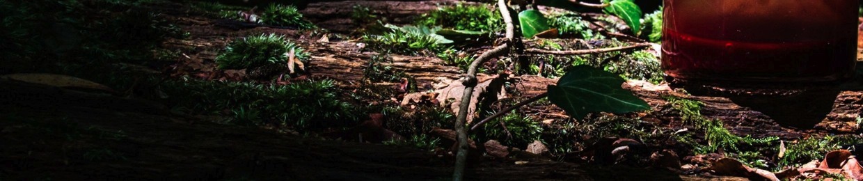 Les Guérisseuses by Mélissandre I GreenSoul