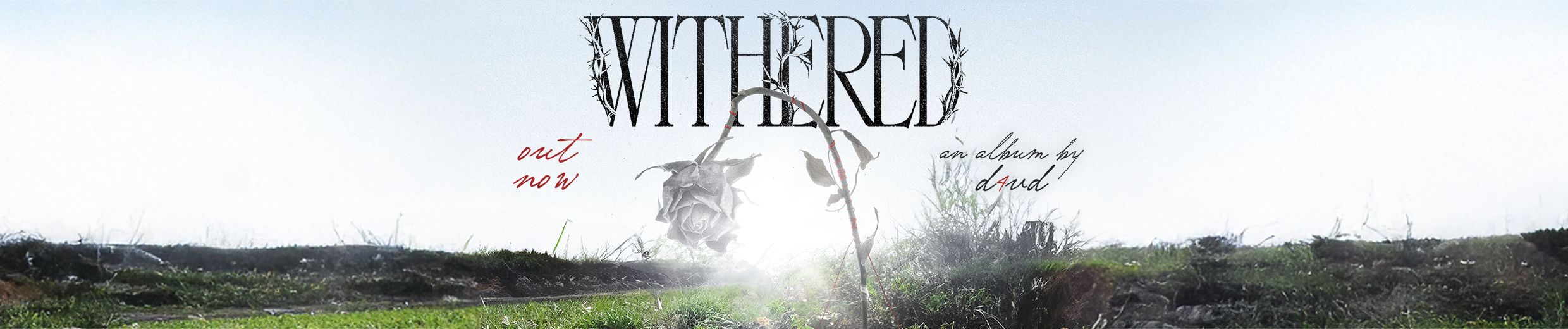 Download d4vd (@d4vddd) from soundcloud to mp3