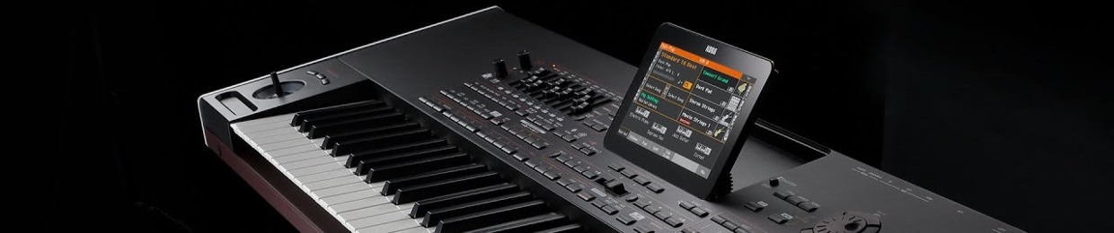 Hùng Nguyễn Korg Pa4X Pro Styles