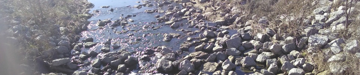 OsKII