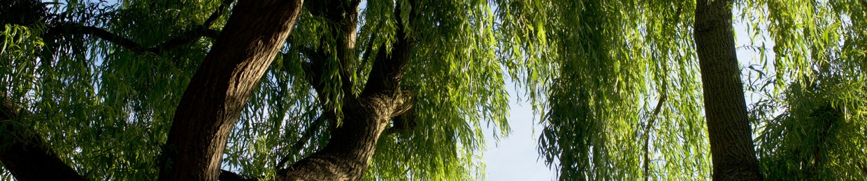 OmVed Gardens