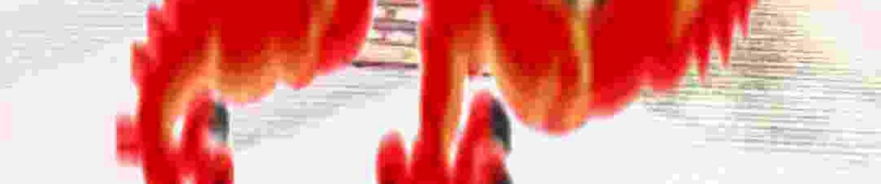 sneakykitty11
