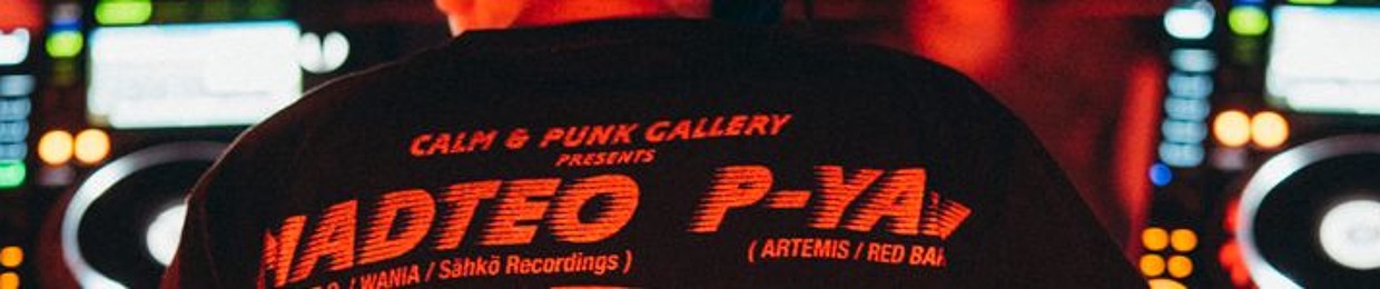 CALM & PUNK GALLERY