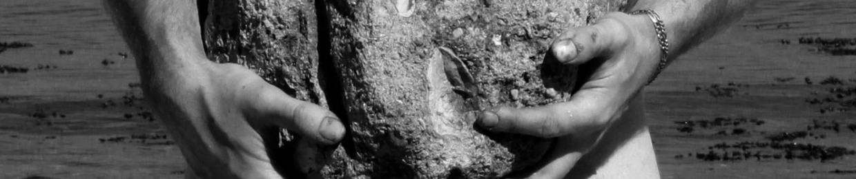 STALLBURSCHE // Nicole Harder //