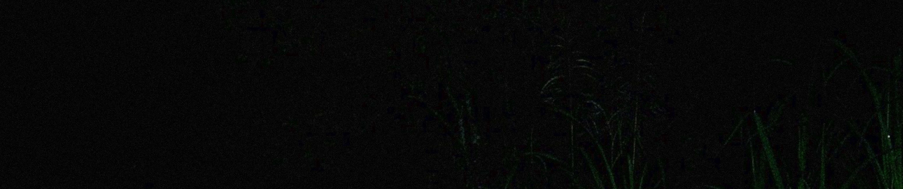 SoundCloud banner for @homesick