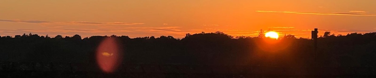 Searching For Sergio