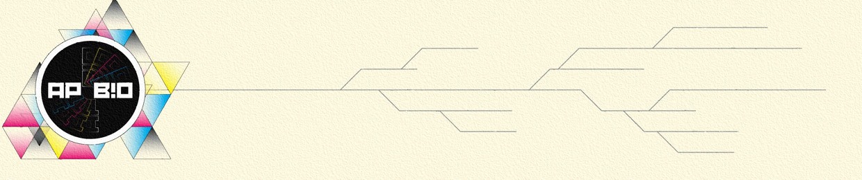 AP B!O