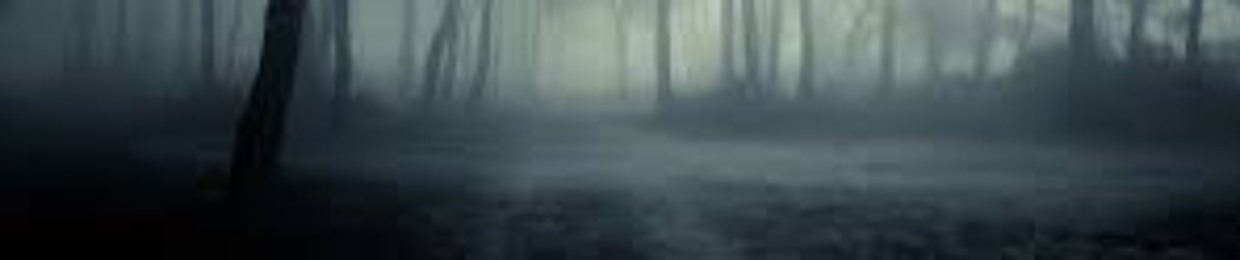 SolumMortem