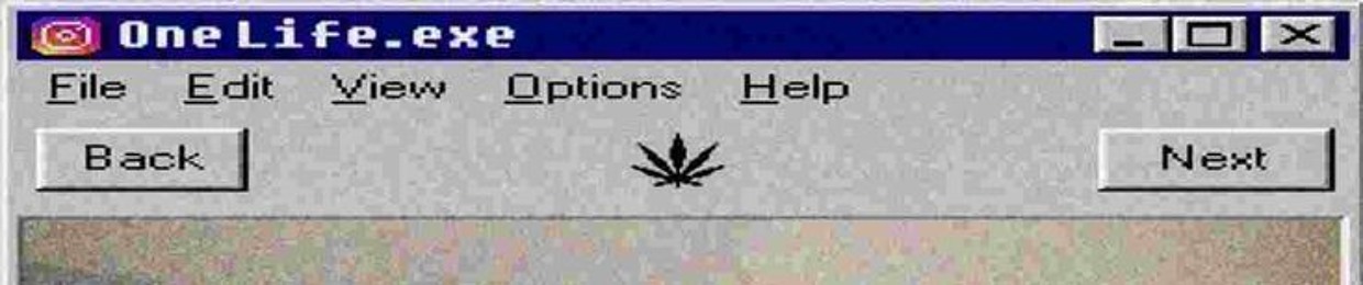 crpsght