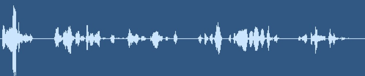 Royalty Free Audio
