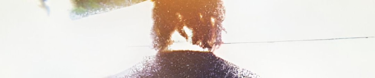 ★P I P E D R E A M B L V D★