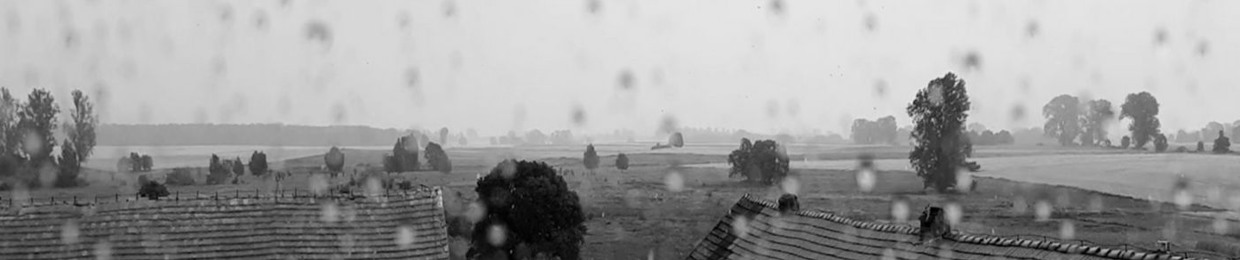 The Last Days Of Our Past