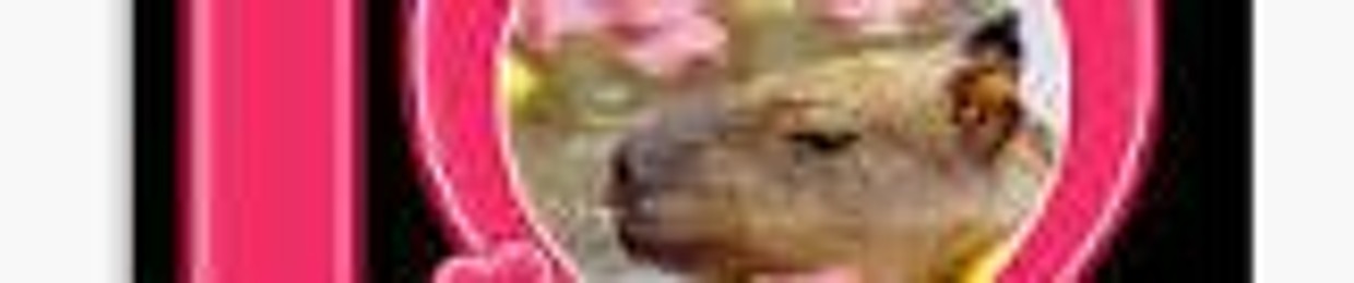 JYNX