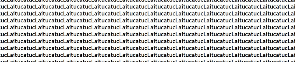 Laitucatuc