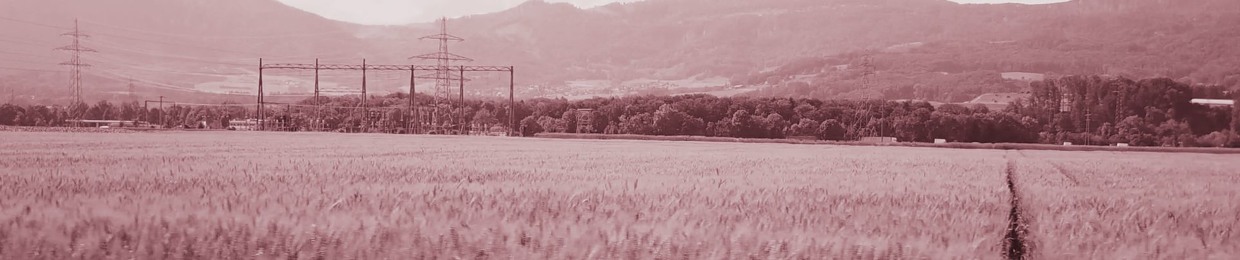 Ricardo Andres Vargas