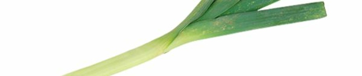 Leek