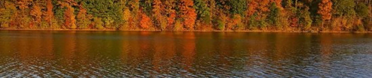 Rebecca Ginn, RN HCS