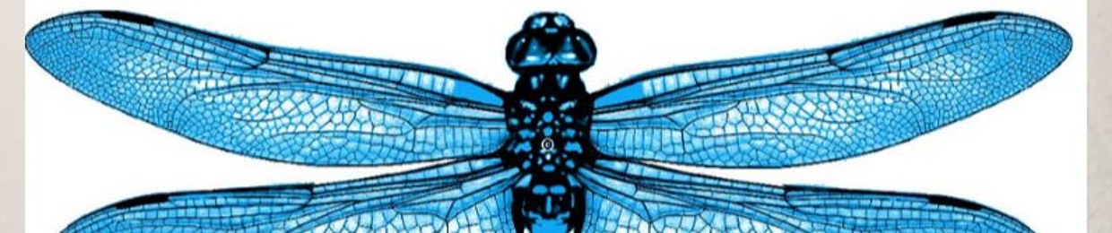 Blue Dragonfly Band