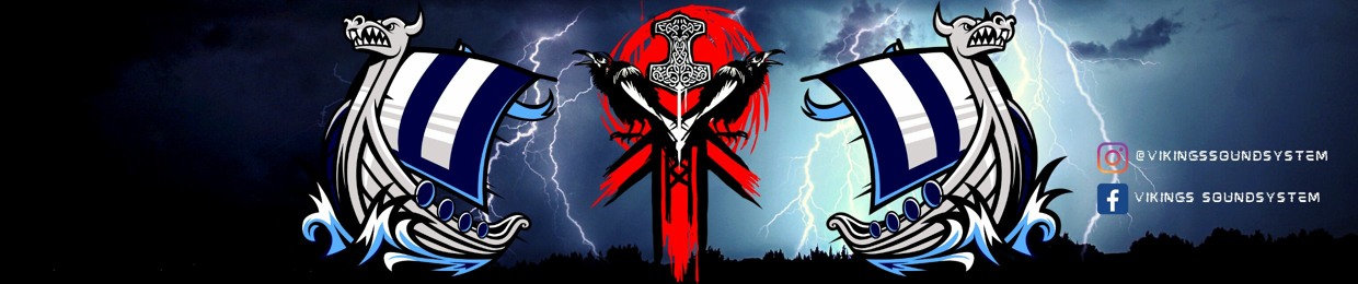 VIKINGS SOUND SYSTEM