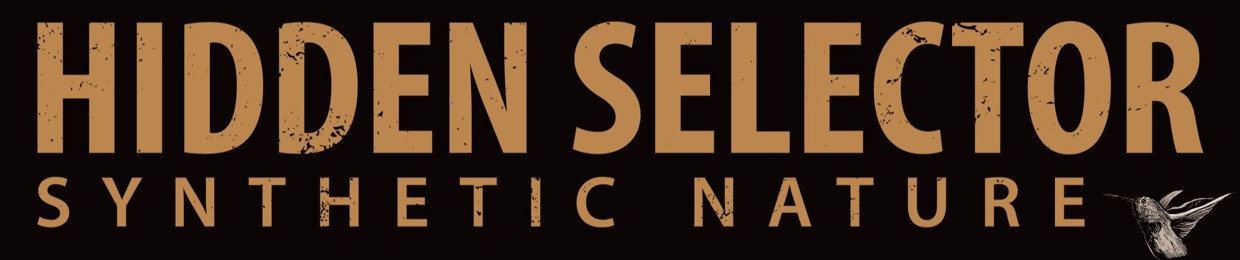 Hidden Selector